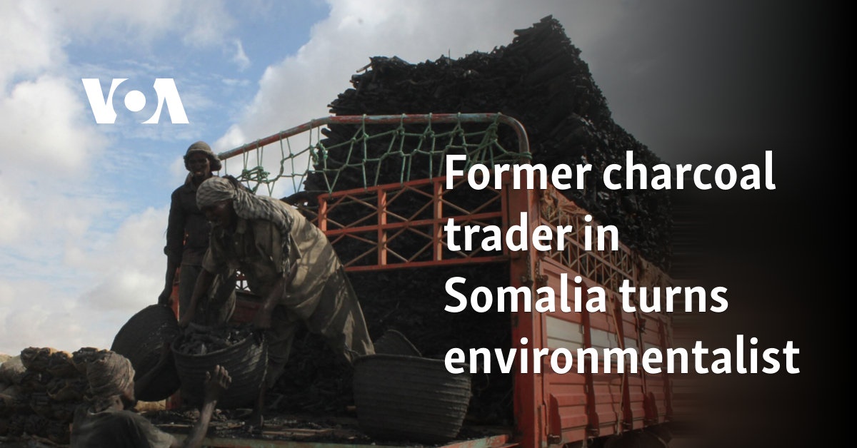 Former charcoal trader in Somalia turns environmentalist