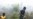 Indonesia Delays Start of Forest Development Moratorium