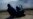 Were Women & Children or a 'Mob' Tear-Gassed at US Border?
