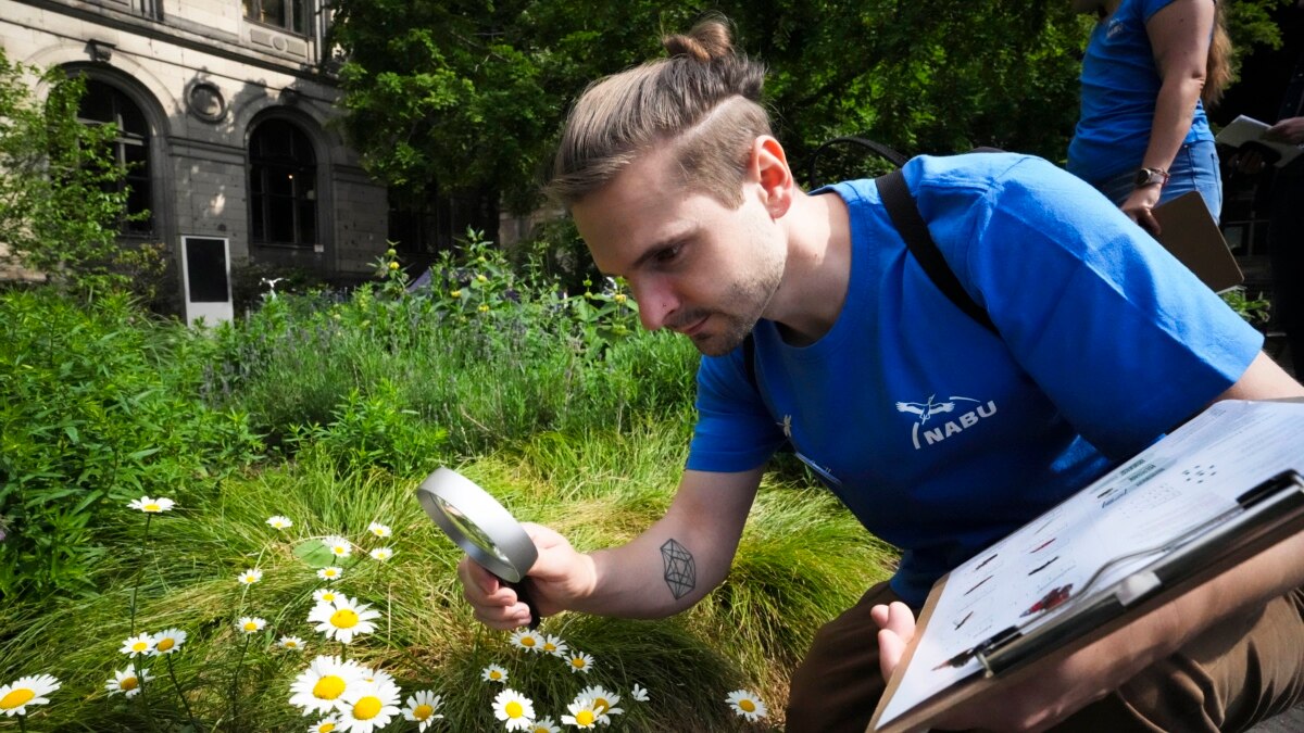 German Scientists Seek Public's Help to Count Insects This Summer - Vimarsana News
