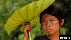 Una niña india sarayaku se cubre del sol en la selva de la amazonia ecuatorial.