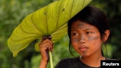 A Sarayaku Indian girl shades herself with a large leaf as she watches a celebration in the village of Sarayaku, Ecuador, Sunday, Aug. 12, 2012.