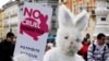 В ЕС запретили испытывать косметическую продукцию на животных