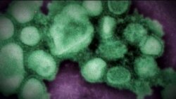 Antibióticos inefectivos