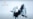 Putin Praises Russian Military Arctic Exercise