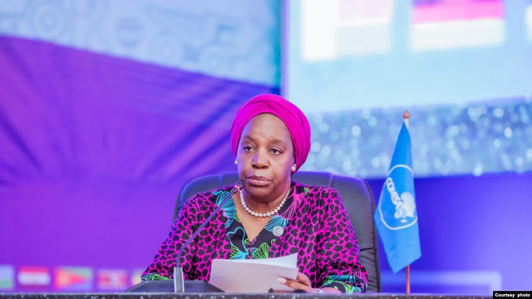 Chileshe Kapwepwe, Umunyamabanga mukuru wa COMESA
