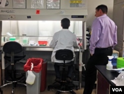 Virology branch chief John Dye observes the work of a researcher in a biosafety lab 2 at the U.S. Army Institute for Infectious Diseases at Fort Detrick in Frederick, Maryland, Dec. 11, 2014. (VOA/C.Maddux)