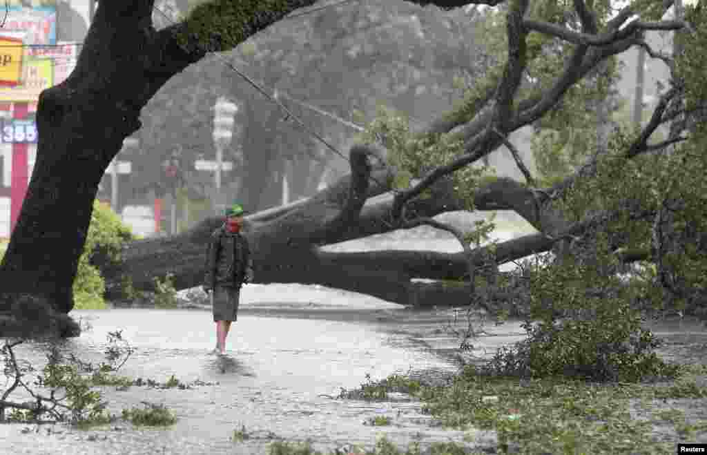 A man stands in front of an uprooted oak tree on Louisiana Avenue as Hurricane Isaac makes land fall in New Orleans, Louisiana August 29, 2012.