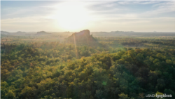 ទិដ្ឋភាពព្រៃដ៏ក្រាស់នៅក្នុងតំបន់អភិរក្សព្រៃឡង់ ក្នុងប្រទេសកម្ពុជា។ (រូបថតដោយ USAID ព្រៃឡង់បៃតង)