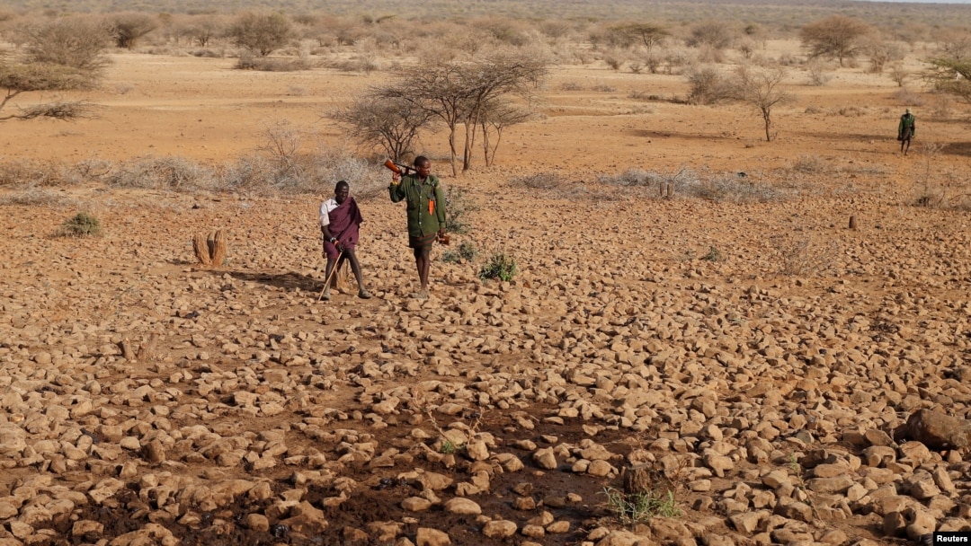 Anggota suku Turkana tampak membawa senjata ketika menunggu ternak mereka datang untuk pergi menuju sumber air di dekat Baragoy, Kenya, pada 14 Februari 2017. (Foto: Reuters/Goran Tomasevic)