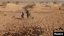 Anggota suku Turkana tampak membawa senjata ketika menunggu ternak mereka datang untuk pergi menuju sumber air di dekat Baragoy, Kenya, pada 14 Februari 2017. (Foto: Reuters/Goran Tomasevic)