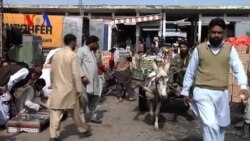 Pakistan Harassing Afghan Refugees? (On Assignment)