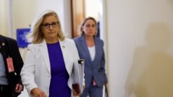 Wyoming wasaden Liz Cheney 