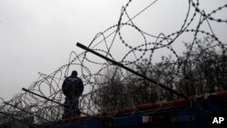 Žičana ograda na granici Mađarske i Srbije