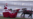 Google Robots Step in for Reindeer
