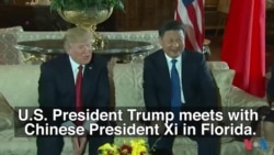 Trump and Xi Meet in Florida