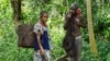 FILE - Members of the Bagyeli Pygmy community display their hunting equipment, May 26, 2017 in the Kribi region, Cameroon.