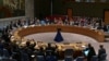 United Nations Security Council votes on a ceasefire proposal