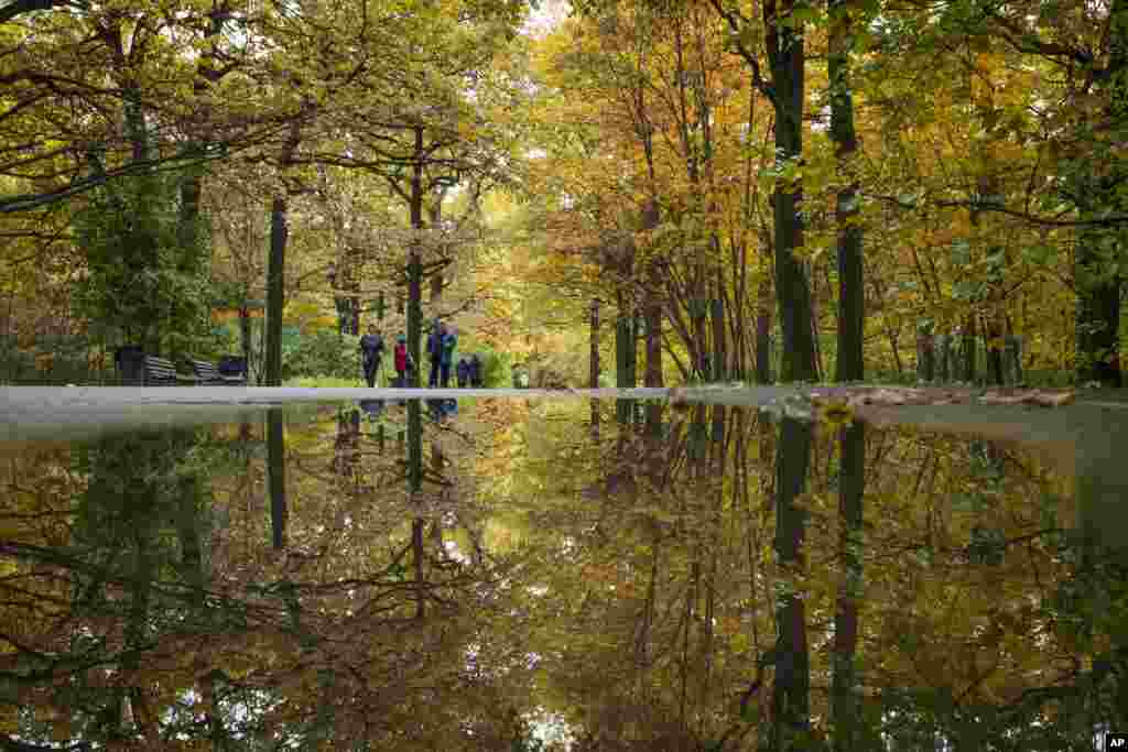 نمایی از درختان پائیزی در پارکی در مسکو