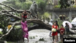 Residents saw an uprooted tree to clear the road after Typhoon Bopha hit Tagum City, southern Philippines December 4, 2012.