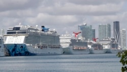 Cruise ships are docked at PortMiami, Tuesday, March 31, 2020, in Miami. The U.S. Coast Guard said Tuesday that it’s working with Holland America on a detailed docking plan that would require two ships carrying passengers and crew from an ill-fated cruise to handle all medical issues without impacting South Florida’s already-stressed hospitals. (AP Photo | Wilfredo Lee)