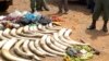 Legalização do comércio de marfim em análise