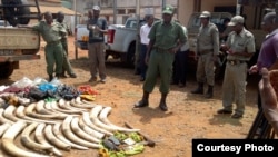Mozambican police apprehend ivory traffickers. 