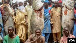 Abubakar Ya'u, (tsakiya) mutumin da ya lashe gasar kamun kifi ta Argungu (Hoto: Gwamnatin jihar Kebbi - Facebook)