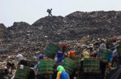 Sekelompok pemulung mengumpulkan plastik dan kertas untuk didaur ulang di tempat pembuangan sampah utama Bantar Gebang, 10 Oktober 2011. Sekitar 830 truk mengumpulkan sampah di Jakarta yang jumlahnya sekitar 6.000 ton per hari, dan mengirimkannya. ke temp