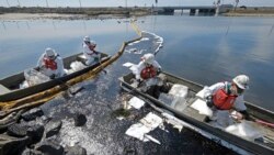 기름 유출사고가 발생한 캘리포니아주 헌팅턴비치 앞바다에서 지난 3일 정화요원들이 거름막 등을 설치하고 있다.