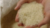 وزیر اقتصاد: تورم کم شده است؛ اتحادیه مواد غذایی: خداحافظی با برنج زیر ۴۰ هزار تومان