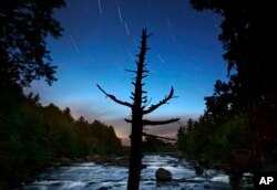 In this Wednesday, Aug. 9, 2017 photo, a dead spruce tree stands on the shore of the East Branch of the Penobscot River in this time exposure in the Katahdin Woods and Waters National Monument near Patten, Maine.