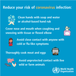 WHO's recommendations to reduce the risk of coronavirus infections.