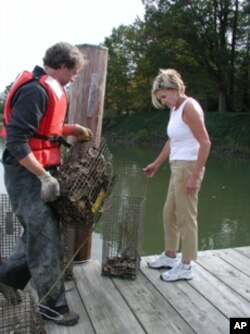 Chris Judy with Sally Ackridge on her backyard pier where she cares for 38 cages of baby oysters.