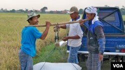 Indonesia disarankan menggantikan skema beras untuk warga miskin (raskin) dengan pembayaran uang tunai. (VOA/R. Teja Wulan)