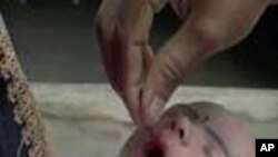 বিশ্বের সব দেশেই ভিটামিন এ-র অভাব স্বাস্থ্য ক্ষেত্রে এক বিরাট সমস্যা