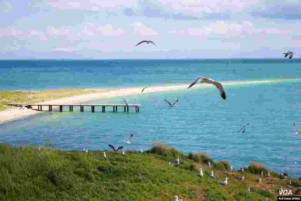 &#199;arpanak Island or Ktuts Island