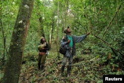 FILE - Grace Kotee, a park biologist in the East Nimba Nature Reserve, and her colleague Peter Farnloe, a law enforcement ranger, walk through the forest in Mount Nimba in Liberia, June 11, 2021. (REUTERS Zohra Bensemra)