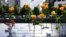 Flowers are seen placed into the groves of inscribed names of the victims of the 9/11 terrorist attacks, at the National September 11 Memorial and Museum, Sept. 11, 2020, in New York City.