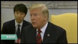 VOA连线(黄耀毅):川普：保证金正恩安全，川金会或延期，未对中兴软化