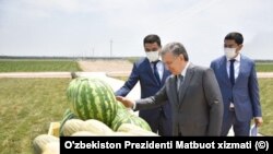 O'zbekiston Prezidenti Shavkat Mirziyoyev Namangan viloyatida, 2020-yil, 26-iyun