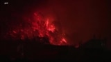 Над 80 шумски пожари во западниот дел од САД