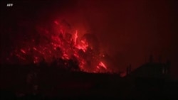 Над 80 шумски пожари во западниот дел од САД
