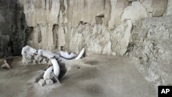 In this undated photo released by Mexico's National Institute of Anthropology and History, INAH, mammoth bones lay at an excavation site in Tultepec, just north of Mexico City. Mexican anthropologists say they found two human-built pits dug 15,000…