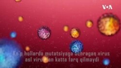 Virus mutatsiyasi xavflimi?