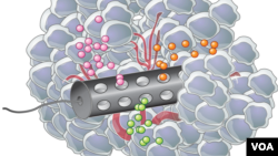 Placed in the tumor, the device releases microdoses of different drugs, each affecting nearby cancer cells. (Drawing by Eric Smith, courtesy Langer Lab - MIT)