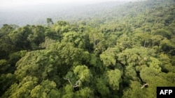 FILE - Aerial view of a sector of the Jamanxim National Forest in the Amazon state of Para, northern Brazil, Nov. 29, 2009.