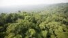 Brazil Revises Decree Allowing Amazon Mining After Criticism