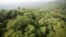 FILE - Aerial view of a sector of the Jamanxim National Forest in the Amazon state of Para, northern Brazil, Nov. 29, 2009.