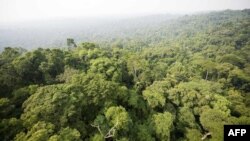 FILE - Aerial view of a sector of the Jamanxim National Forest clouded by a forest fire in the Amazon state of Para, nothern Brazil. 